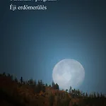 Palocliget Vendeghaz