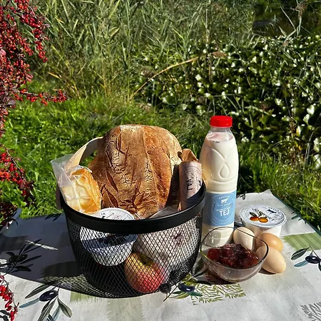 Palocliget Vendeghaz Ketbodony