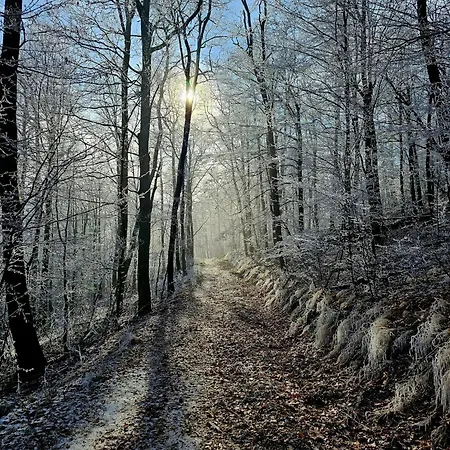 게스트하우스 Palocliget Vendeghaz *