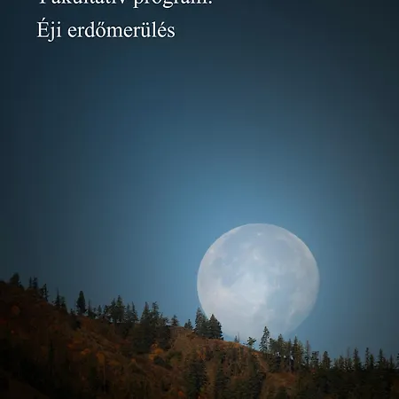 Palocliget Vendeghaz