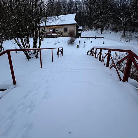 Palócliget * Ketbodony