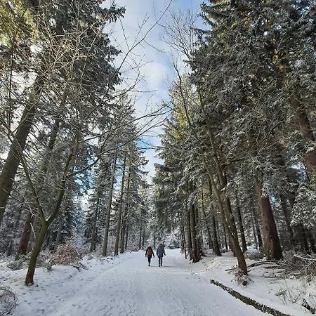 Pensión Palócliget *