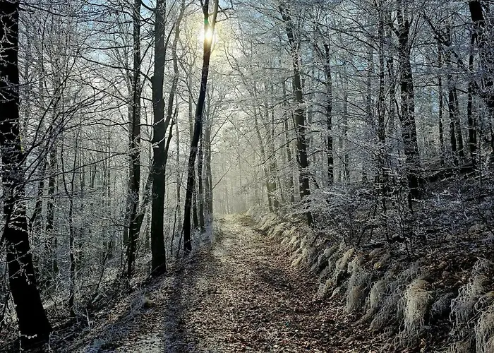 Gasthof Palocliget Vendeghaz *
